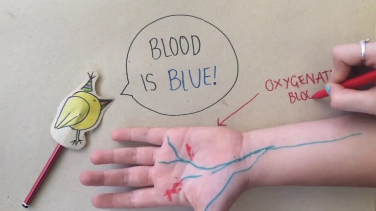 why vein blue